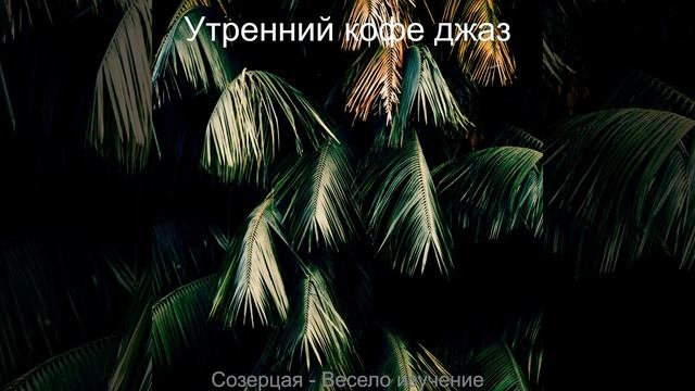 Весело Город