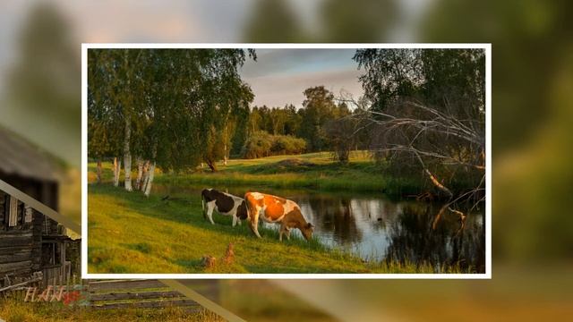 8ceda86b6b4d6ec78a3176520284a58d