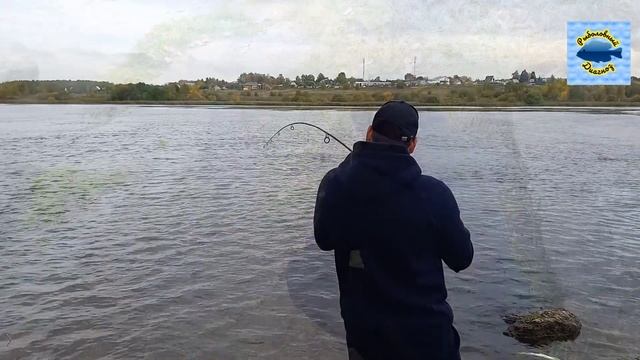 86e46e00207660119ddd5765a47f6f78