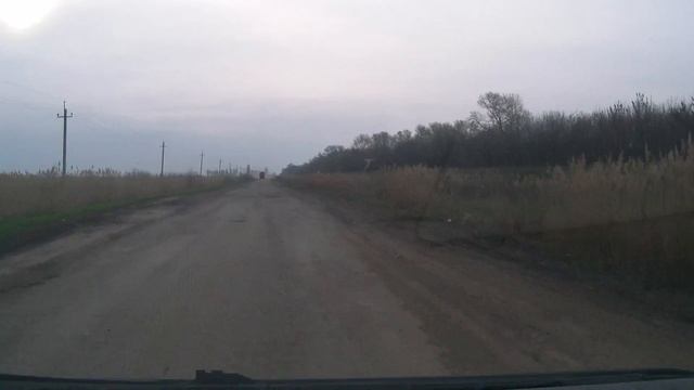 Рени 2013
