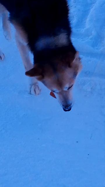 Cad6ce75ba82b14a0acb9a3528ba2fb9