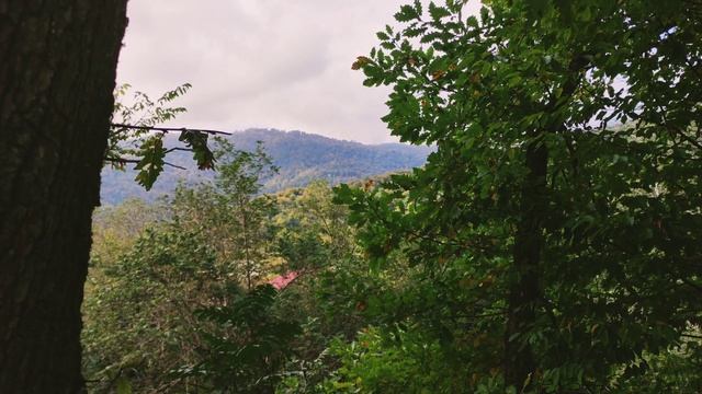 Закатала\Джар Осень Сельская природа Zaqatala\Car Kend Tebieti