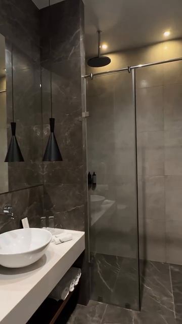 Полет чайки