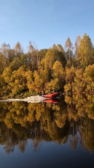 44853bab7efd7ea59a4f09d890fd9c9c