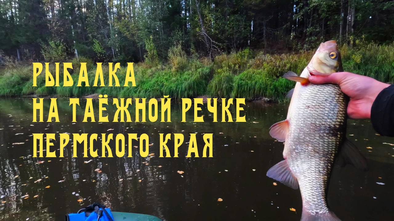 6d9458bedf88135681b78284a7110a26