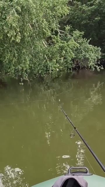 D22c8ff1e13aebeb94fcd4f5c4711d4a