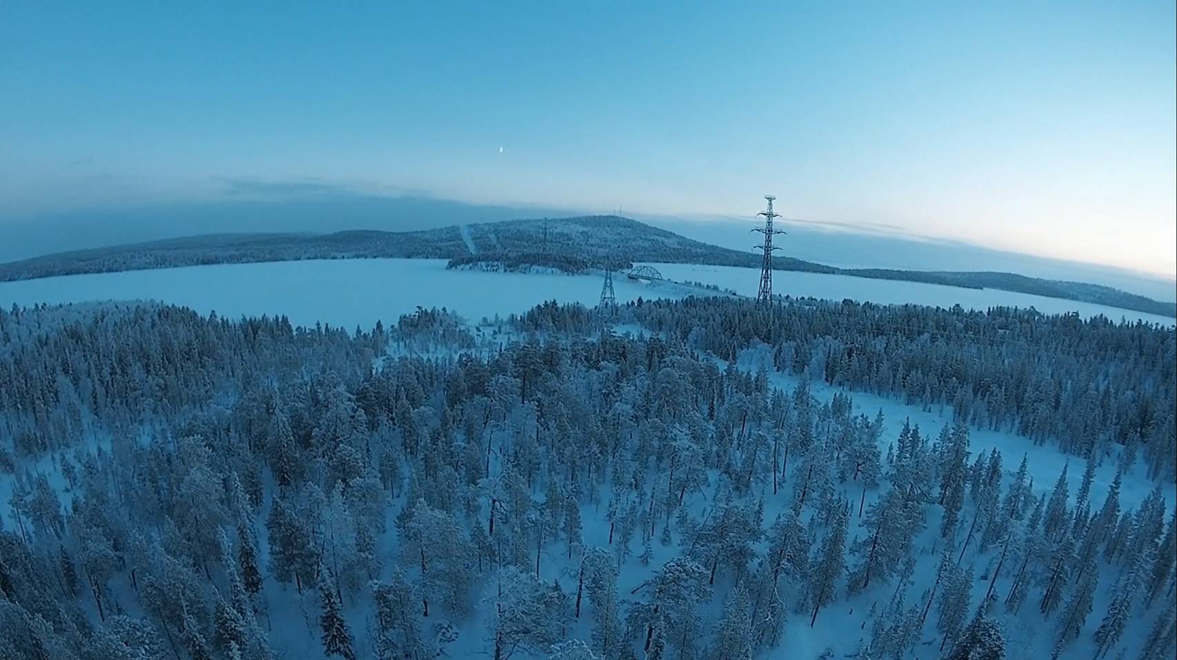 Пушистый лес 2