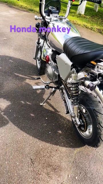 Honda Monkey #Hondamonkey #hondagorilla