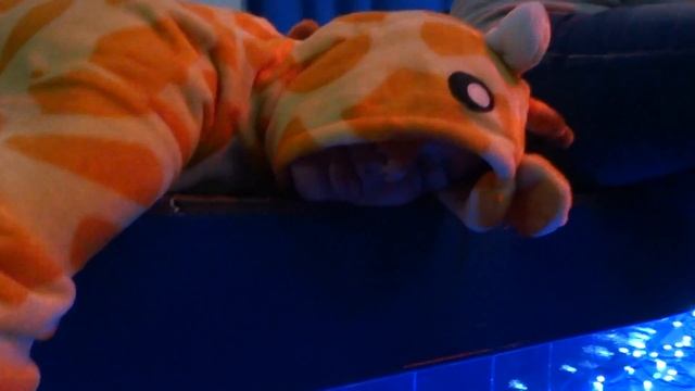 манекен-челлендж в Сказке 25 декабря 2016