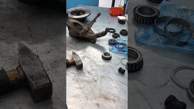 Дом-волейбол