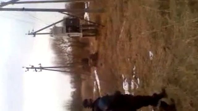 Осознанные советы