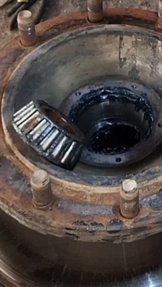 Никита Белоногов