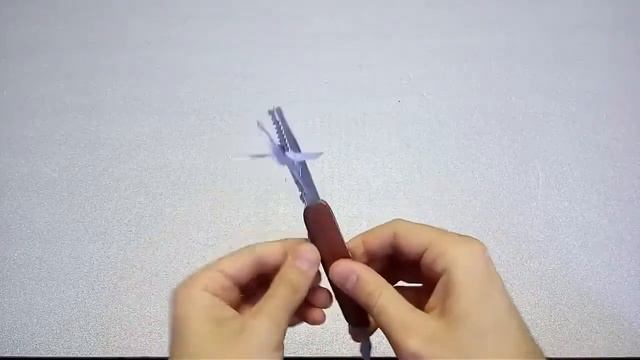 Здоровый дом