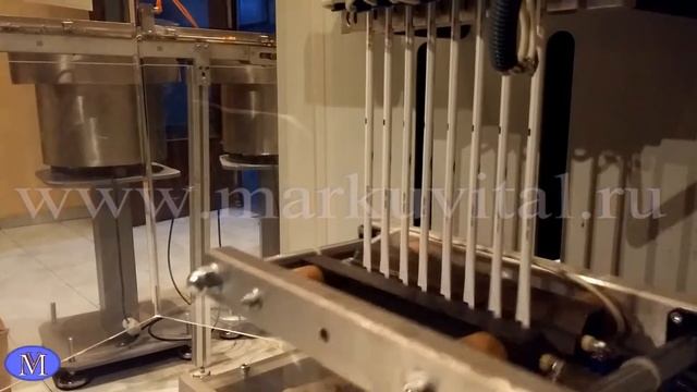 оборудование для фасовки сахара в сахарные стики MSM 350 L