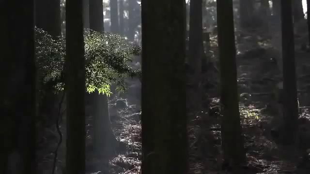 Отпадная реклама