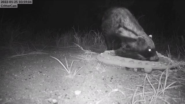 90a959f196d2f272a87fa6575730d568