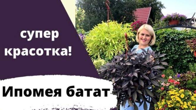 E7f6f9a0a93bda5823b367cdbf04d11a