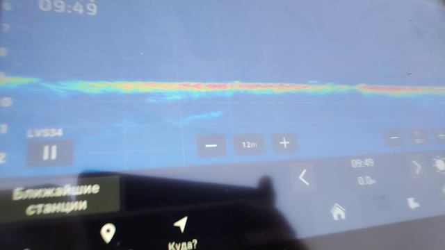 В ПОИСКАХ ХИЩНИКА НА МОЖАЙКЕ.