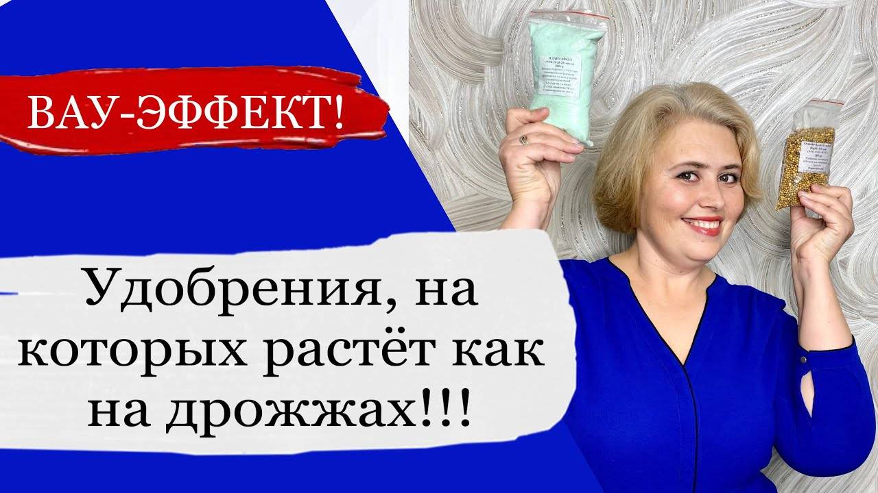 01bebaa7a6de495371c5b281e5118772