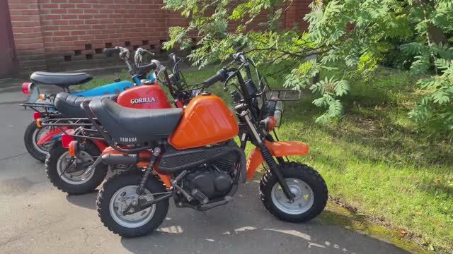 Легендарные мини байки от трех японских производителей Honda Gorilla   Suzuki Hopper   Yamaha Vogel