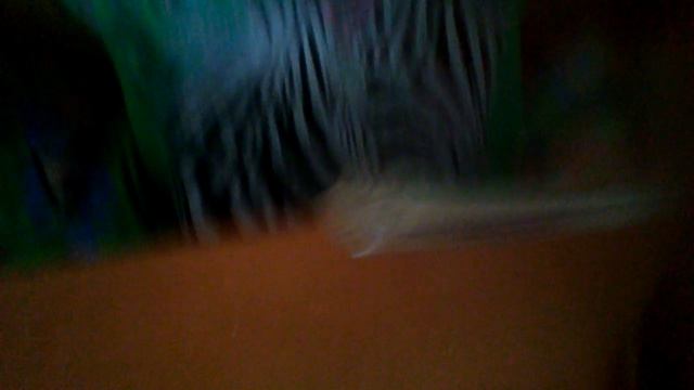 Гоголь Моголь