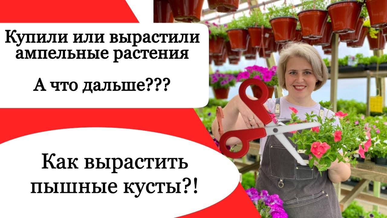 5d6e05f9c933ed67ddbeddd550396980