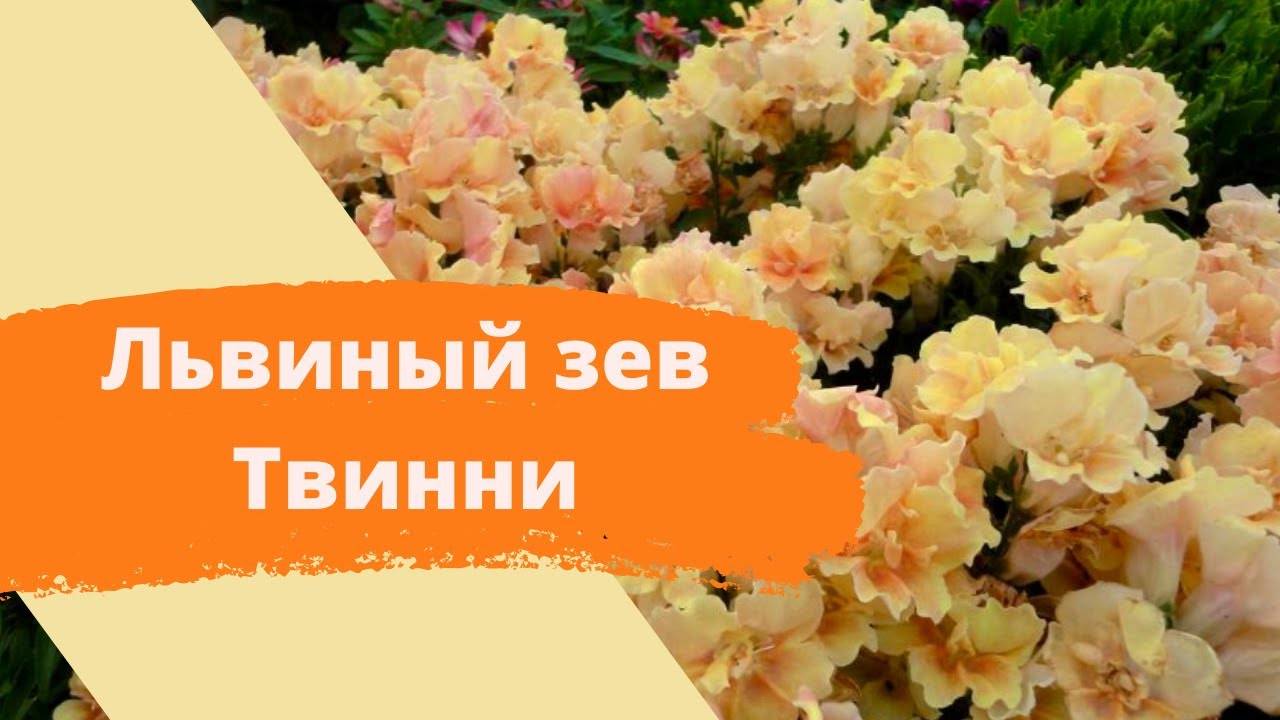 8316613f2d0f7b242ee5d383db20bea2