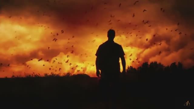 Chris Rea - The Road To Hell