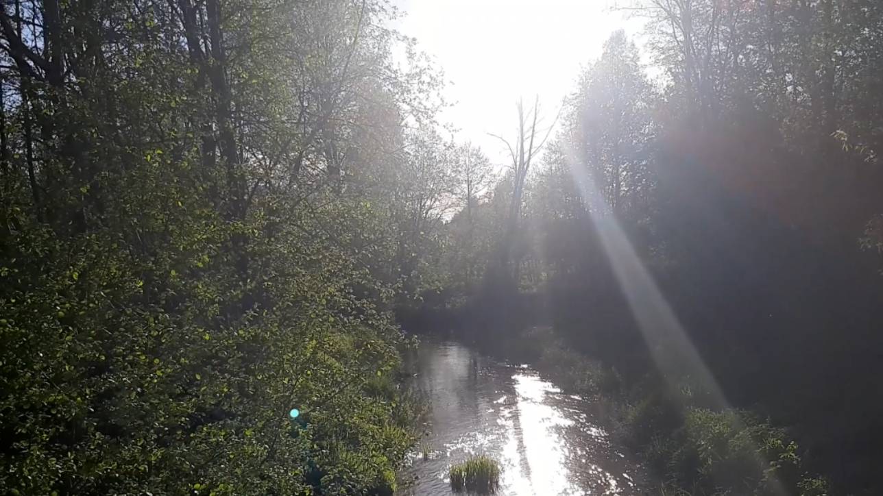 Автор Валентина Нарышкина - 