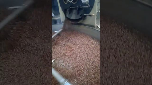 100 Kg Coffee Roster