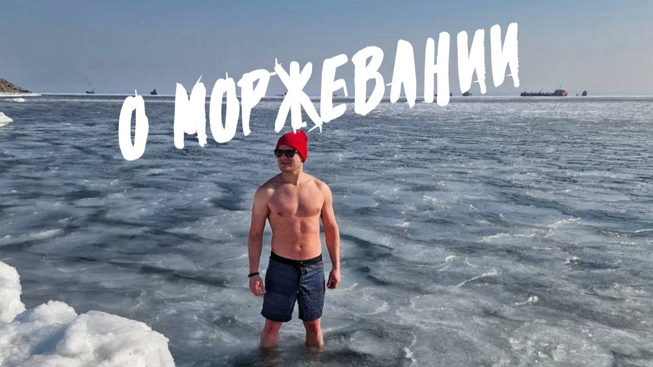 О моржевании