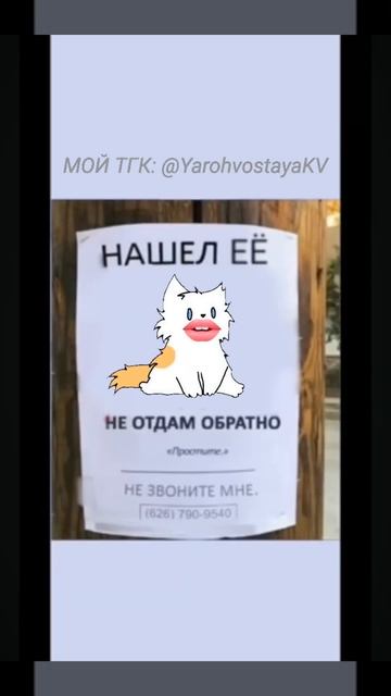 Бедная Ярка:__ #прикол #мяу #врекпж #подпишись