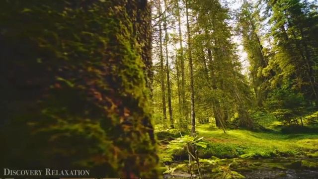 F4de97ea3eb4734250c5a8e812efcdaa