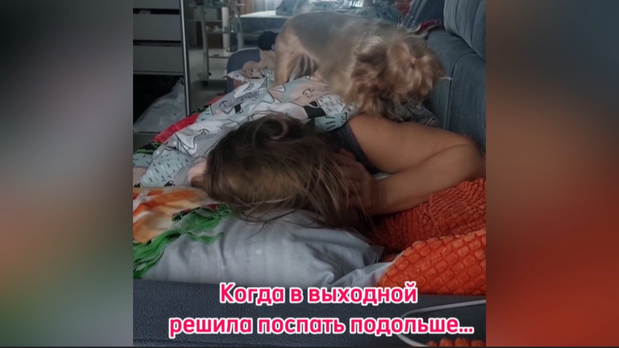 ПотапычТВ Family