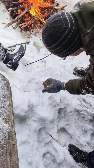 Прогулка на лыжах #походвлес #леснаядорога #дорога