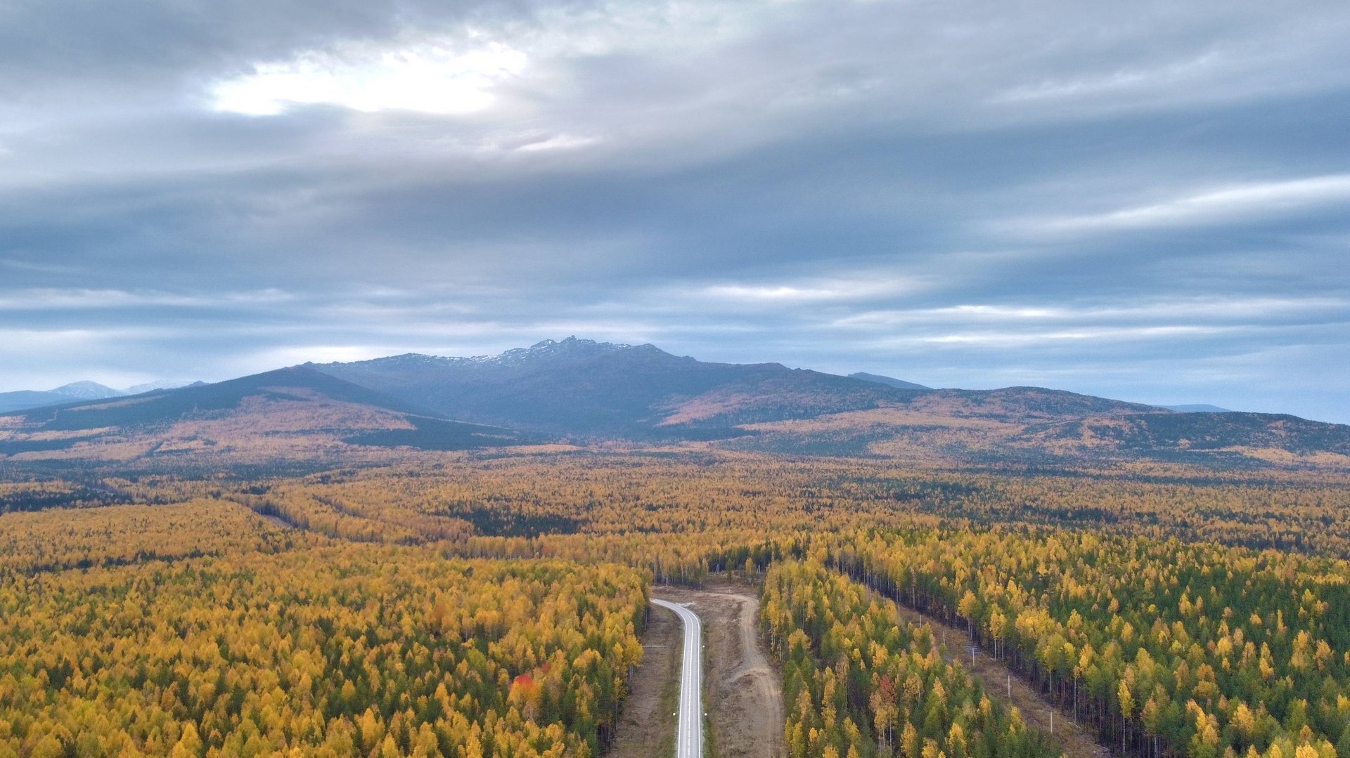 A08df0279961bb574d0d858dcade88f6