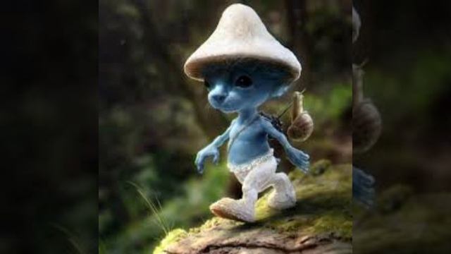 песня шайлушай#мем#шайлушай