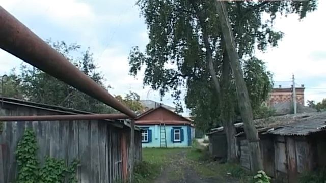 Трава в человеческий рост