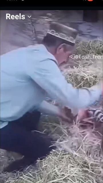 всё прошли через это