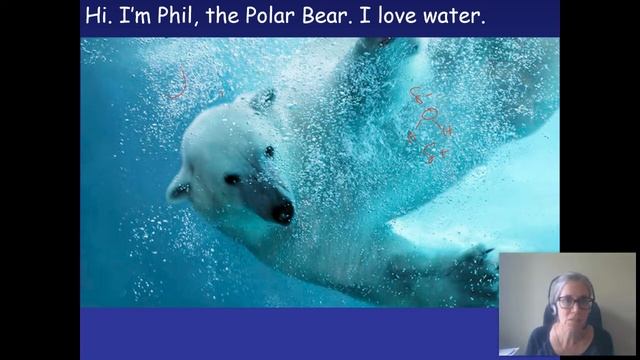 1.05 Hydrophilic And Hydrophobic Molecules