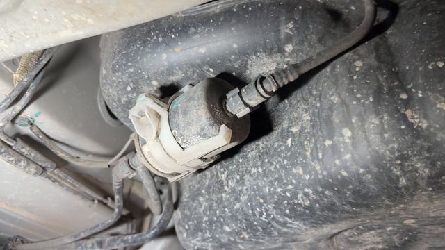 Китайские автомобильные фанаты