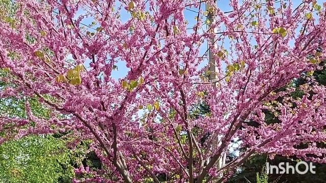 Одесса . Реальная обстановка .Последствия урагана . Цены .!Это надо видеть .