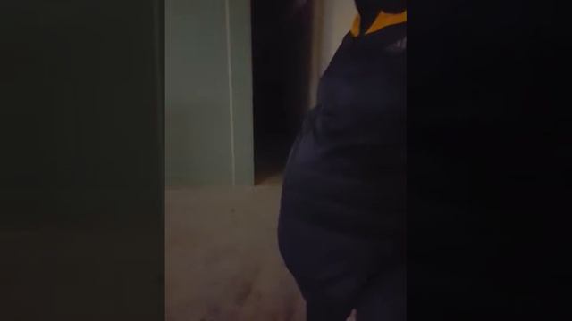 Рейдерский захват 2