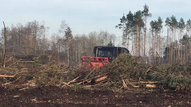 Raptor800, Poland, 2017