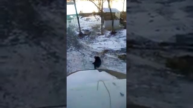 Не земное притяжение !!! Или как попасть домой ?