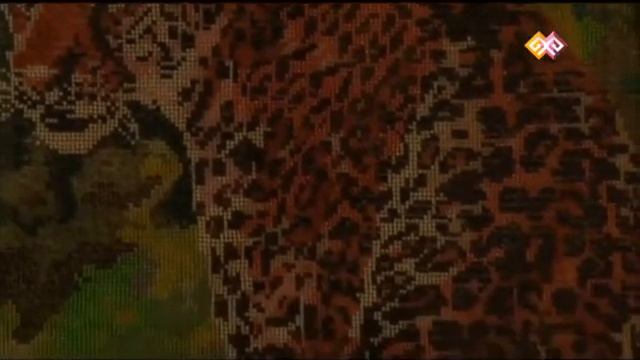 2015 Назерке Торпақованың «Өнерім - өмірім» жеке көрмесі