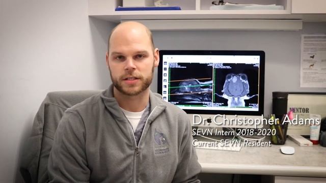 Neurology Residency And Training At Southeast Veterinary Neurology