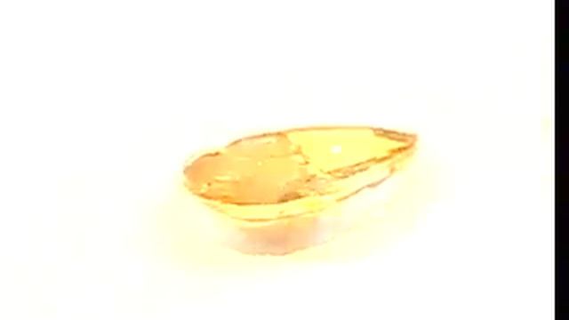 D619a4ea90f79541d2b36576e93df2e1