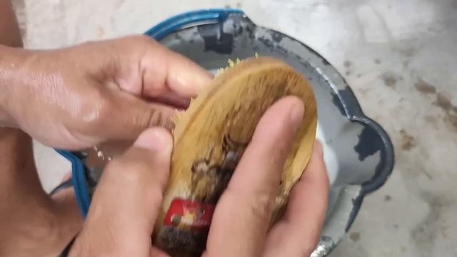 A4be51833f6dc7e2575f16a699a262b4