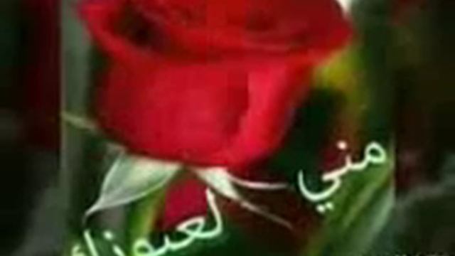 ١٦ مارس، ٢٠١٨